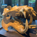 madlitparanormal avatar