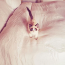 madlovesswift avatar