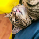 madmasterspage avatar