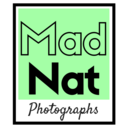 madnatphotographs avatar