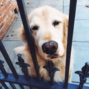 madness-of-universe avatar