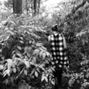 madnessinmelody avatar