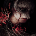 madnessinwonderland avatar