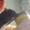 madratengineer avatar