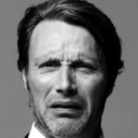 mads-as-a-box-of-cats avatar