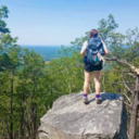 madsledford44 avatar