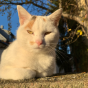 maesinspiration avatar