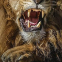 maestrodiable avatar