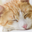 magatsu-syndrome avatar