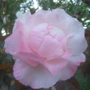 magdalenasandovals avatar