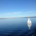 maggie1234shadowhunter avatar