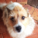 maggotwithdreams avatar