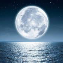 magic-in-emotion avatar