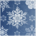 magic-in-the-mundane avatar