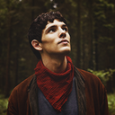 magic-on-the-night avatar