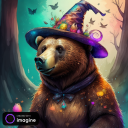 magical-bear-dubin avatar