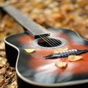 magical-music-musings avatar