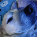 magical-trash avatar