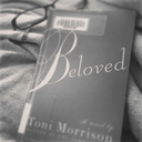 magical-trees avatar