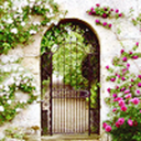 magicalbookgarden-blog avatar