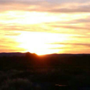 magicalcrowherb avatar