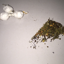 magicalhoagiescissorswinner-blog avatar