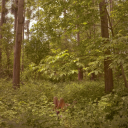 magically-tacosandwich avatar