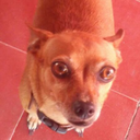 magicalmoonmangos-blog avatar