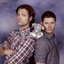 magicalponylove avatar