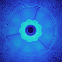 magicalpostbluebird avatar