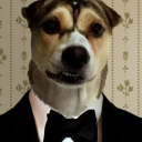 magicalsheepdeer avatar