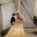 magicalvoidpainter avatar