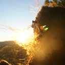 magicalwardrobe-mw avatar