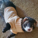 magicalwastelandunder avatar