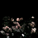 magicandfantasies avatar