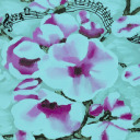 magicandmundane avatar