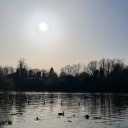 magicbluebeans avatar