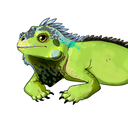 magiciguana avatar