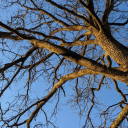 magicm0untain avatar