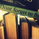 magictreebee-blog avatar