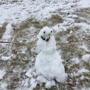 maglor-and-the-voices avatar