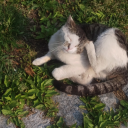 magnificentcolortravel avatar