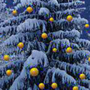 magnificentcreatorpatrol avatar