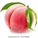 magnificentfestpenguin avatar