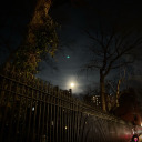 magnificentness avatar