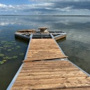 magnificentsamurairebel avatar