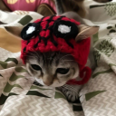 magnoliajupiter avatar