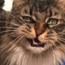 magnus-the-magnificent avatar