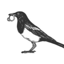 magpie-black-and-white avatar