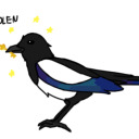 magpie-of-the-lake avatar